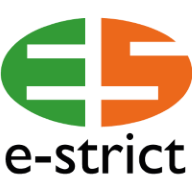 Logo e-strict Unternehmensberatung